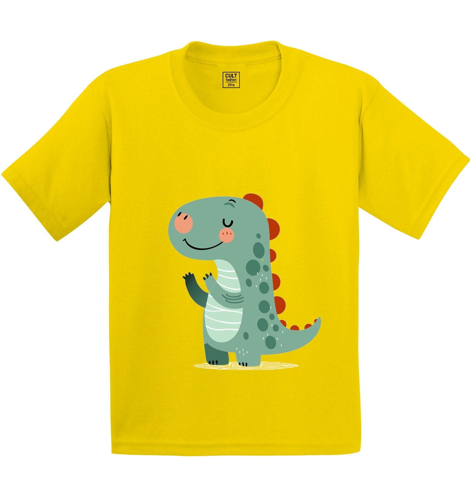 Grey Dino printed Kids T shirt - size 1-5 year