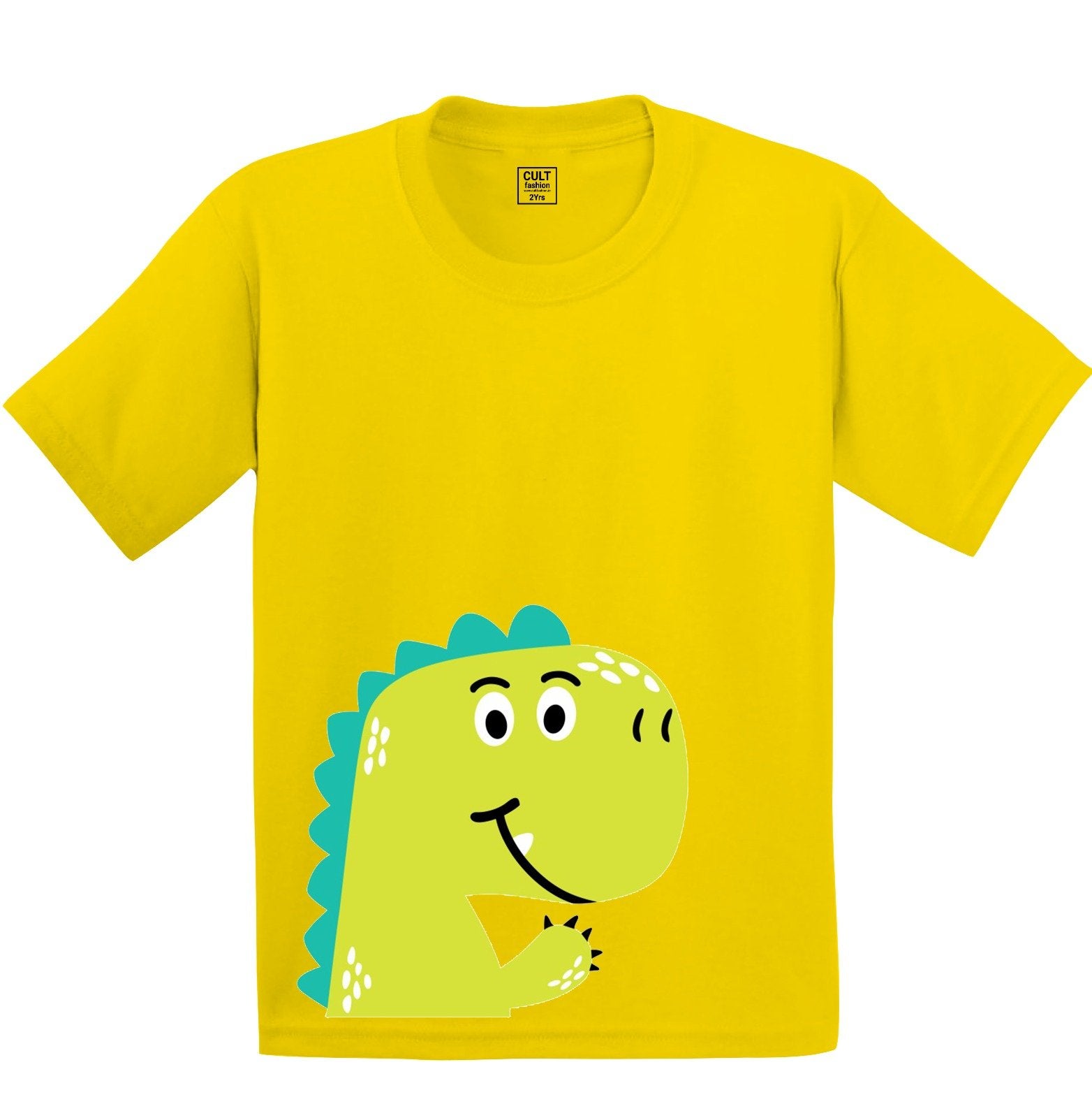 Big Dino printed Kids T shirt - size 1-5 year